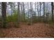 Wooded backyard with many fallen leaves and mature trees, offering privacy and a natural setting at 1159 Bowerie Chase, Powder Springs, GA 30127