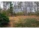 Large backyard with lush greenery and mature trees, offering privacy and a natural setting at 1159 Bowerie Chase, Powder Springs, GA 30127