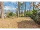 View of large backyard with mature trees and foliage at 2458 Kelly Lake Dr, Decatur, GA 30032