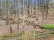 A wooded backyard view features a small stream and a mossy fence at 708 Players Ct, Woodstock, GA 30189