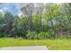 View of a private backyard surrounded by lush mature trees and green lawn at 4950 Summersun Dr, Morrow, GA 30260