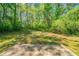 Expansive backyard featuring a concrete patio and lush greenery, offering a private outdoor space at 3534 S Portsmouth Cir, Lithonia, GA 30038
