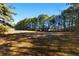 Spacious back yard with mature trees adding natural beauty at 1505 Ozora Rd, Loganville, GA 30052