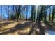 Large backyard with mature trees at 2653 Williamsburg Dr, Decatur, GA 30034