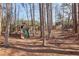 Backyard playground including a slide, swing set, and trampoline at 2805 Roxburgh Dr, Roswell, GA 30076