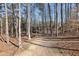 Natural backyard path leading to a serene and wooded landscape at 2805 Roxburgh Dr, Roswell, GA 30076