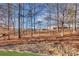 A serene wooded backyard with natural drainage, trees, and lush greenery extends beyond the home at 4992 Price Dr, Suwanee, GA 30024