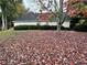 Leaf-covered yard featuring mature trees and lush landscaping around the house at 2020 Wynfield Point Dr, Buford, GA 30519