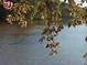 Picturesque lake view highlighting blossoms and calm water at 2382 Merrymount Dr, Suwanee, GA 30024