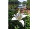 Lovely lake view with vibrant lily and deck area at 2382 Merrymount Dr, Suwanee, GA 30024