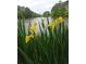Charming lake view featuring yellow irises in the foreground at 2382 Merrymount Dr, Suwanee, GA 30024