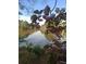 Scenic lake view showcasing pink flowers and lush greenery in a tranquil setting at 2382 Merrymount Dr, Suwanee, GA 30024