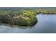 Beautiful aerial view of lakeside homes surrounded by mature trees and gorgeous water at 840 Old Driver Road, Whitesburg, GA 30185