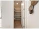 Organized pantry with ample shelving space for storage at 6178 Lake Lanier Heights Road, Buford, GA 30518