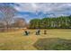 Backyard with fire pit and wooded area at 20 Alison Trail, Covington, GA 30014