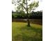 Lush backyard featuring a picturesque lake view, complemented by a small tree near the waterfront at 2948 Legion Lake Rd, Douglasville, GA 30135