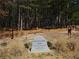 Destination Park in Loganville features outdoor exercise equipment surrounded by tall pine trees at 561 Old Loganville Rd, Loganville, GA 30052