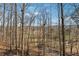 Breathtaking backyard view overlooking a serene and picturesque forest setting from the porch at 101 Bevil Ridge Se Rd, Emerson, GA 30137