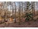 View of the natural backyard featuring a wooded area at 90 Lakeside Dr, Hiram, GA 30141