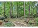 Landscaped backyard area with stone path, wooden chairs, and wooded view at 2819 Saddlebrook Nw Way, Marietta, GA 30064