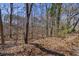 Property backs to dense woods, offering privacy and a natural setting at 3594 Vinyard Way, Lawrenceville, GA 30044