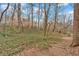 Scenic backyard landscape with lush greenery, mature trees, and peaceful ambiance at 4144 D Youville Trce, Atlanta, GA 30341