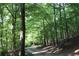 Gravel walking path through mature trees offering a tranquil escape into nature at 711 Cypress Pointe St, Johns Creek, GA 30022
