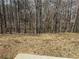 Large backyard with trees in the background at 275 Circle Rd, Dacula, GA 30019