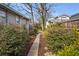 Landscaped backyard featuring a stone walkway and mature shrubs leading through the yard at 1923 Rugby Ave, Atlanta, GA 30337