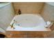 Close-up of a luxurious white bathtub with gold fixtures and stylish decor at 2392 Ivy Mountain Dr, Snellville, GA 30078