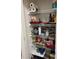 Pantry featuring well-stocked shelves filled with a variety of household goods at 2392 Ivy Mountain Dr, Snellville, GA 30078