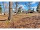 Serene backyard view with a tree-lined perimeter and a sense of privacy, enhancing the property's appeal at 20 Juniper Se Ln, Cartersville, GA 30121