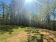 Picture of the backyard showing a forest behind the house at 630 Gilles Ln, Cumming, GA 30041