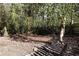Fenced backyard featuring mature trees providing shade and privacy at 2061 Detroit Nw Ave, Atlanta, GA 30314