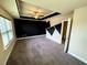 Large carpeted bedroom features a modern color scheme and tray ceiling with fan at 11978 Quail Rd, Hampton, GA 30228