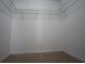 Spacious walk-in closet featuring carpeted floors and metal shelving for optimal storage at 838 Roxholly Ln, Buford, GA 30518