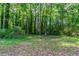 Picture of a large, open backyard surrounded by beautiful, mature trees and other greenery at 4342 Lincolndale Dr, Ellenwood, GA 30294