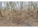 Hilly backyard area filled with young trees and a thick carpet of leaves on the ground at 445 Skif Pond Ct, Atlanta, GA 30349