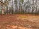 Backyard with a wooded area at 3564 Sage Dr, Lithia Springs, GA 30122