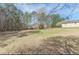 Large, grassy backyard, partially shaded by mature trees, creating a private and peaceful outdoor space at 110 Eastfield Ct, Mcdonough, GA 30252
