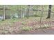 Wooded lot leading to a pond at 8155 Stone Hill Rd, Cumming, GA 30028