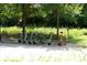 Row of parked scooters near a tree-lined, green area at 821 Ralph Mcgill Ne Blvd # 3201, Atlanta, GA 30306