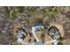 An aerial shot showcasing the houses and their surroundings. The wooded location adds to the appeal of each home at 2660 Burnt Hickory Dr, Cumming, GA 30028