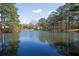 The large community pond is surrounded by lush trees at 3772 Paces Ferry West Se, Atlanta, GA 30339