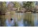 Scenic community pond with ducks and a wooden bridge in the distance at 3772 Paces Ferry West Se, Atlanta, GA 30339