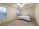 Bright bedroom features neutral tones, plush carpet, a tray ceiling, and soft natural light at 403 Tea Olive Ct, Canton, GA 30115