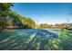 Well-maintained tennis court surrounded by lush greenery, providing a great recreational amenity at 403 Tea Olive Ct, Canton, GA 30115