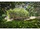 A grassy backyard shaded by trees and bushes with a small set of stairs at 2446 Sunset Ne Dr, Atlanta, GA 30345