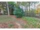 This natural backyard space features mature trees, lush greenery, and a private, tranquil setting at 6596 Wright Rd, Atlanta, GA 30328