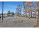Community playground with climbing dome and swings surrounded by mature trees at 30 Barbara Ct, Fayetteville, GA 30215